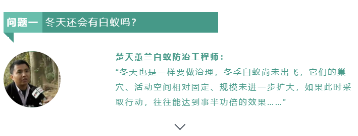 【白蟻小課堂】冬天還會(huì)有白蟻？什么季節(jié)治理最好？